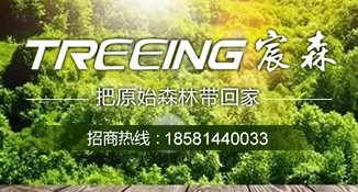 贵州TREEING宸森